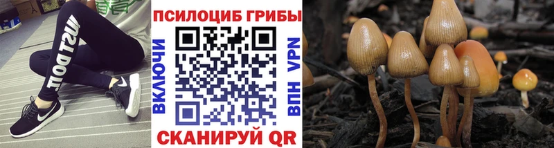 Галлюциногенные грибы MAGIC MUSHROOMS  купить наркотики сайты  Белозерск 